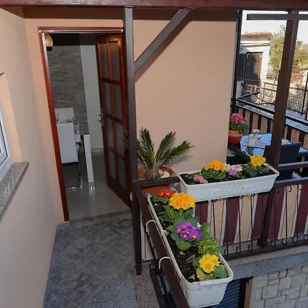 Apartamento Family Friendly With A Swimming Pool Vodnjan, Fazana - 14159
